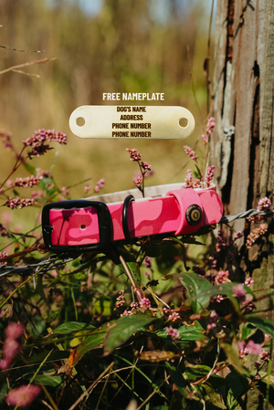 Blaze Pink Camo BioThane® Collar