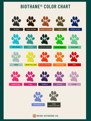 Pheasant Feather BioThane® Collar