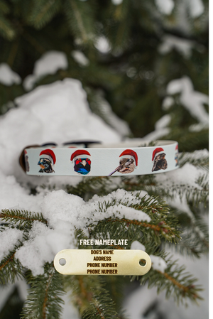 Christmas Covey BioThane® Collar