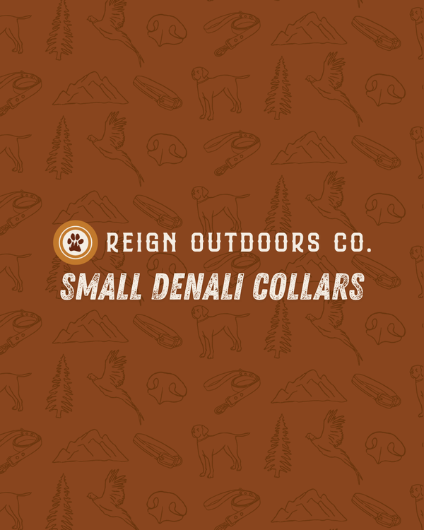 Small Denali Collars