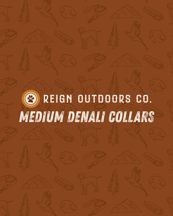 Medium Denali Collars