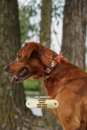 Blaze Camo BioThane® Collar