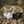 Lab Camo Sticker