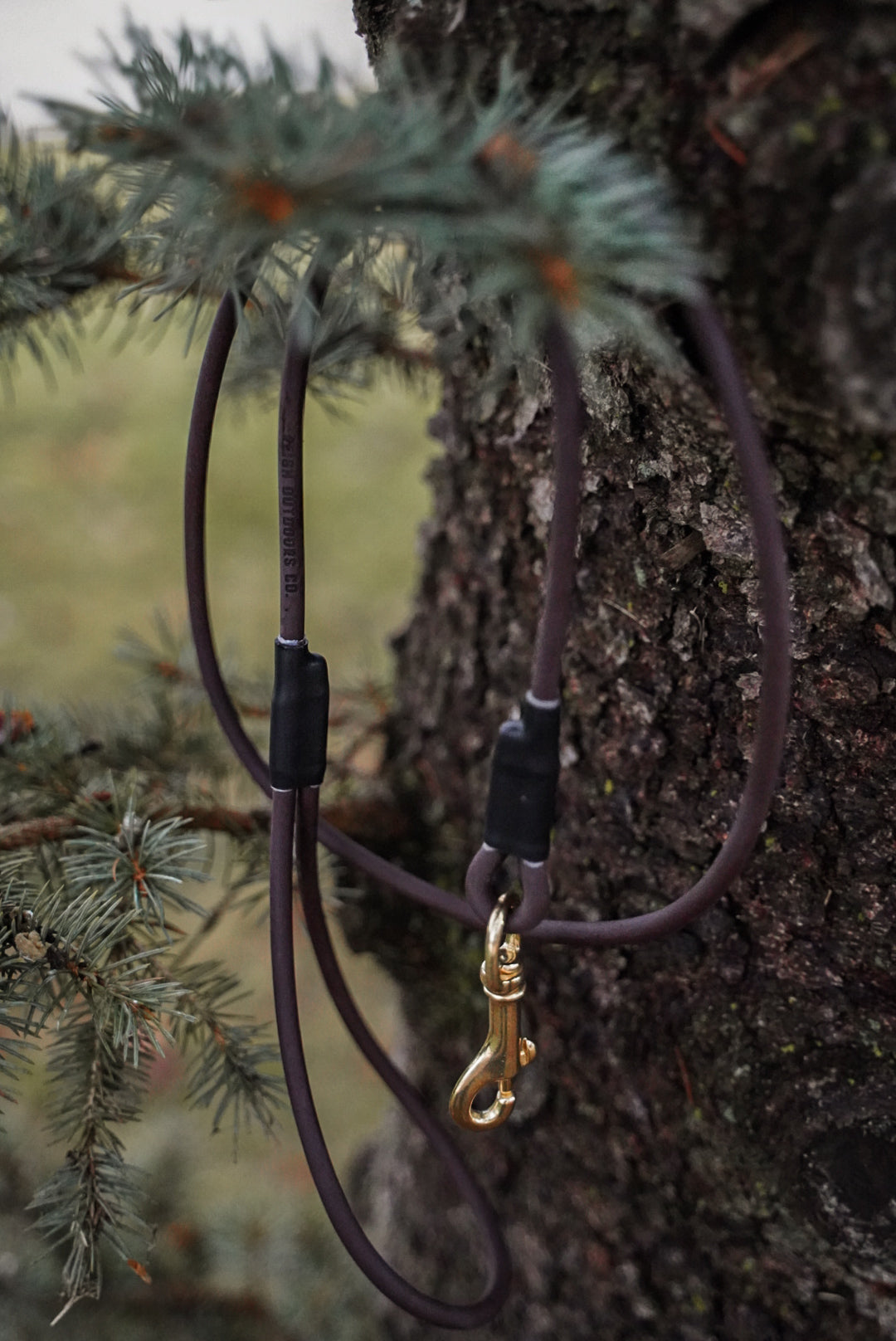 Rope BioThane® Leash – Reign Outdoors LLC