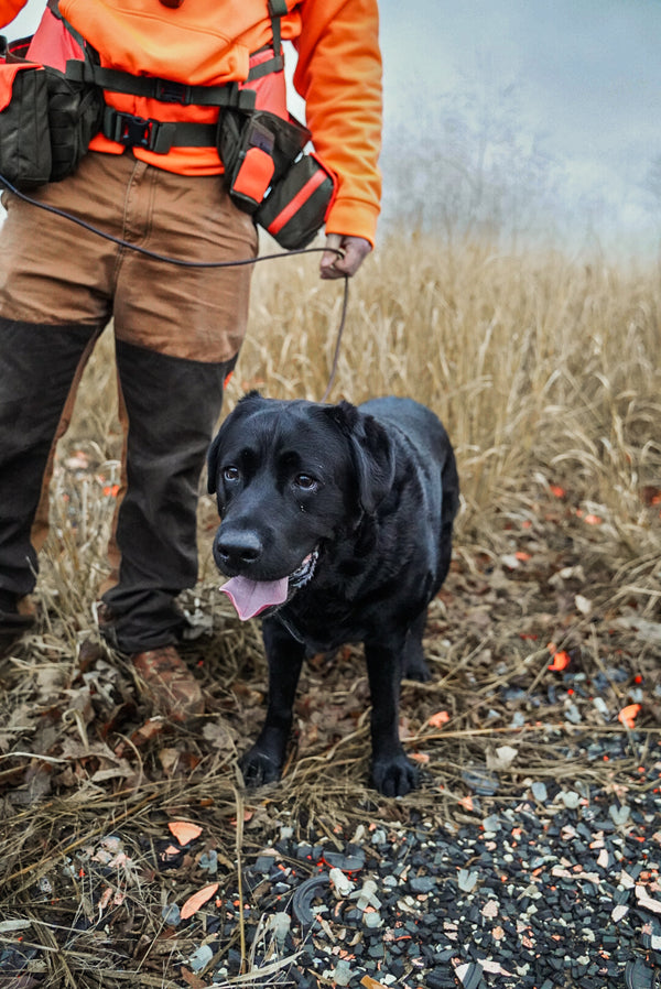 Rope BioThane® Leash