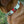 Freedom Flight Collar