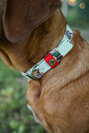 Freedom Flight Collar