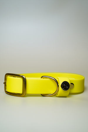 Denali BioThane® Collar - Neon Yellow