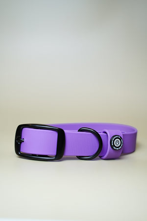 Denali BioThane® Collar - Orchid