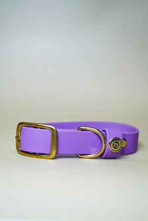 Denali BioThane® Collar - Orchid