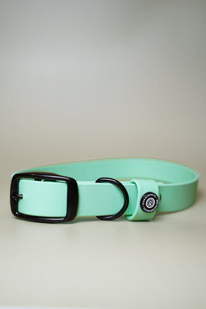 Denali BioThane® Collar - Seafoam
