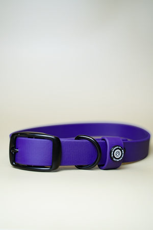 Denali BioThane® Collar - Purple