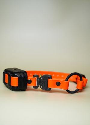 Alpha Cobra Buckle E Collar Strap (Bungee)