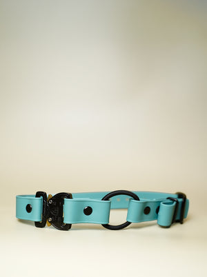 Alpha Cobra Buckle E Collar Strap (Bungee)