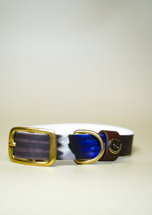 Duck Feather Backer BioThane® Collar