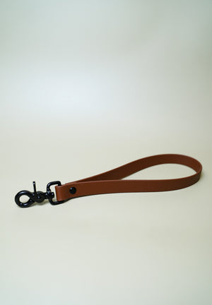 The Rouge BioThane® Traffic Handle