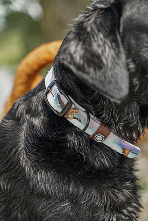 Goose BioThane® Collar