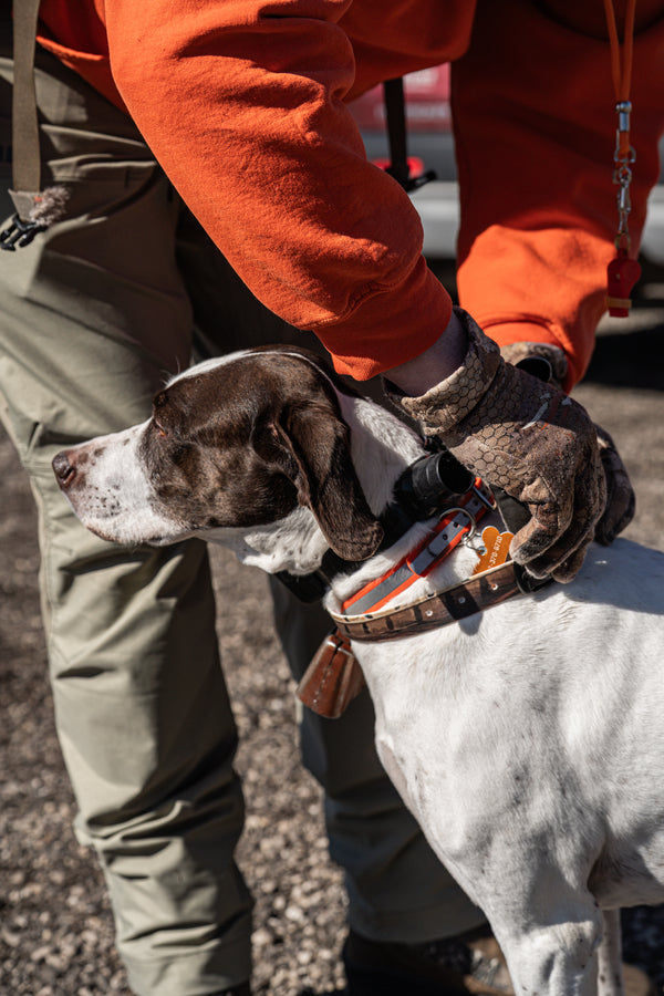 Pheasant Feather BioThane® Collar