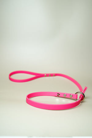 Handlers Lead