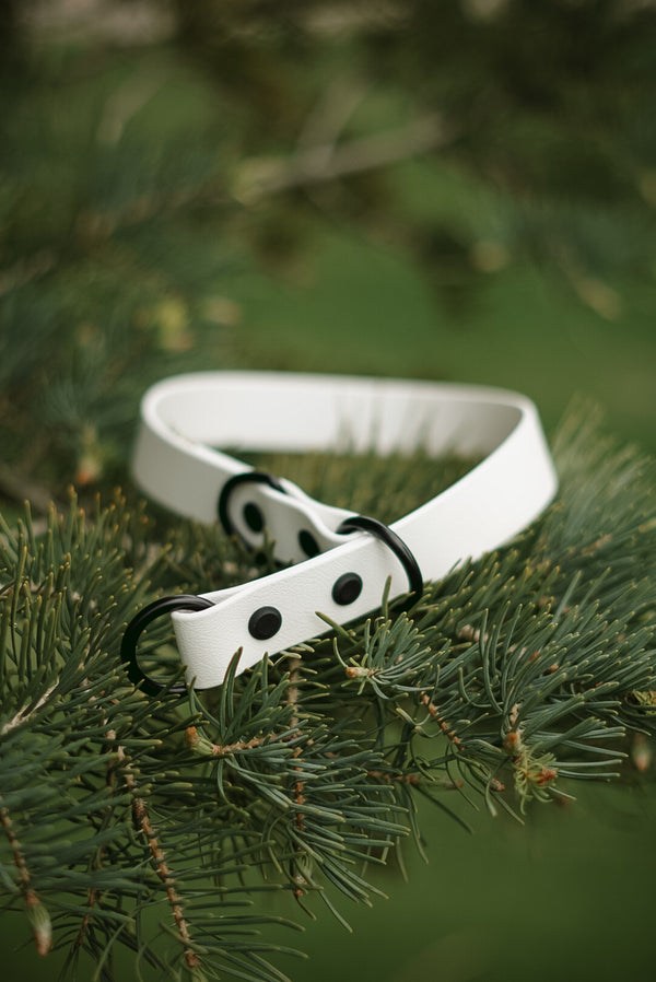 The Sequoia BioThane® Slip Collar