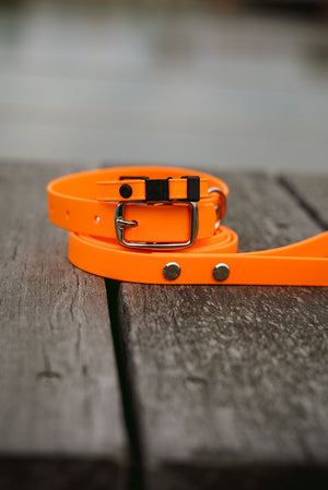 Full Puppy Pack Bundle