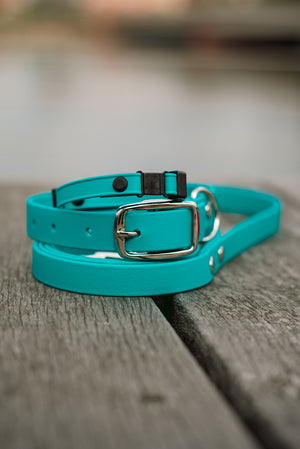 Whelping Puppy Collar and Go Home Collar Bundle