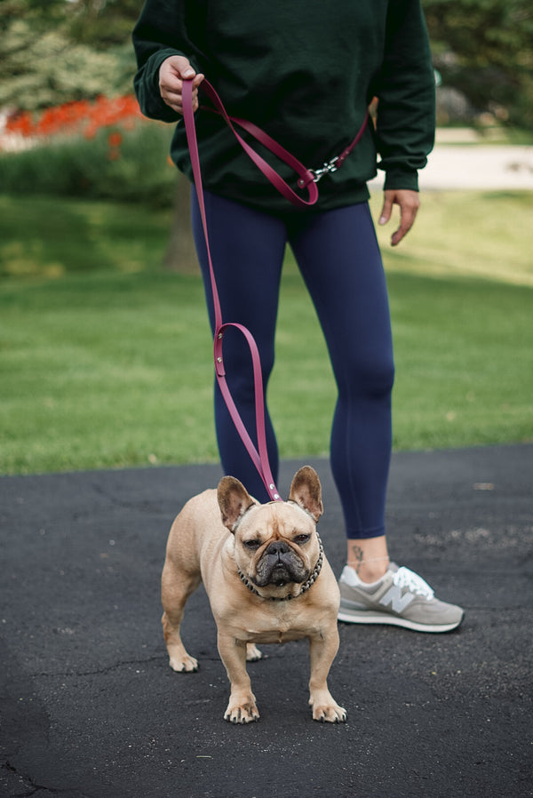 The Hiker BioThane® Hands Free Leash