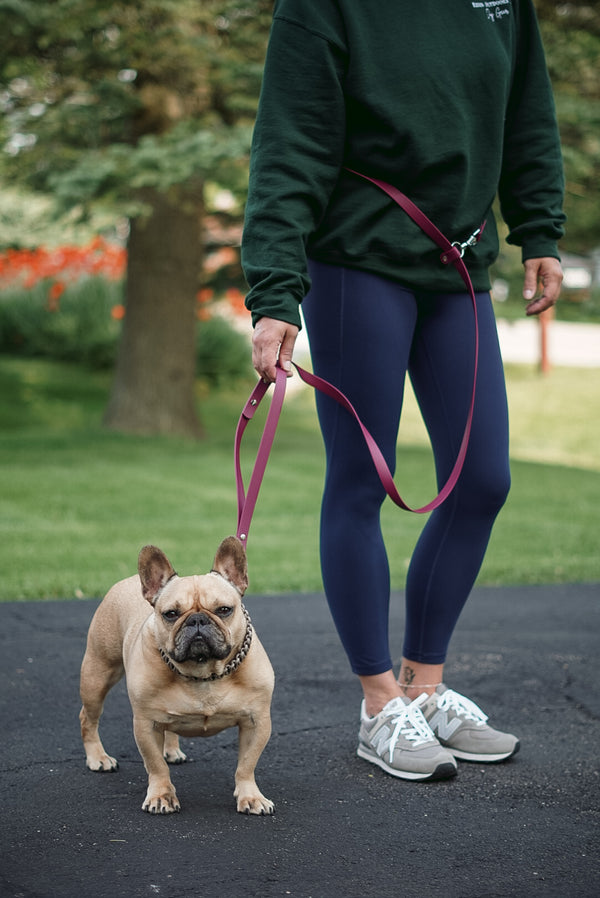 The Hiker BioThane® Hands Free Leash