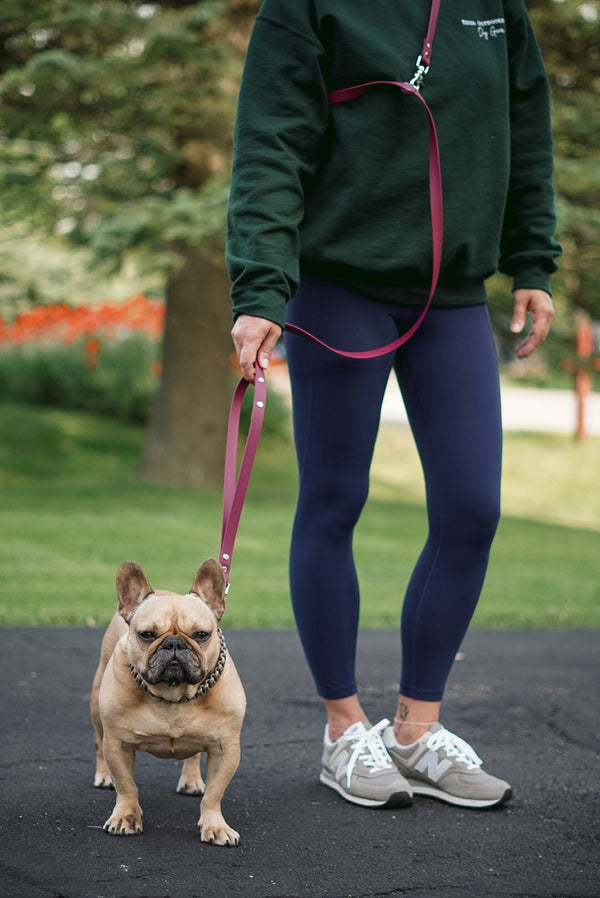 The Hiker BioThane® Hands Free Leash