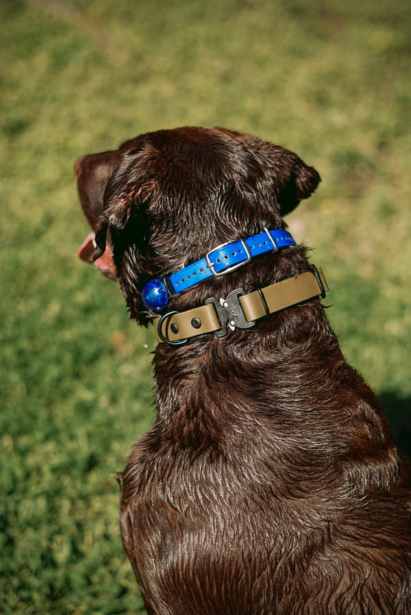 Cobra Adjustable Quick Release BioThane® Collar