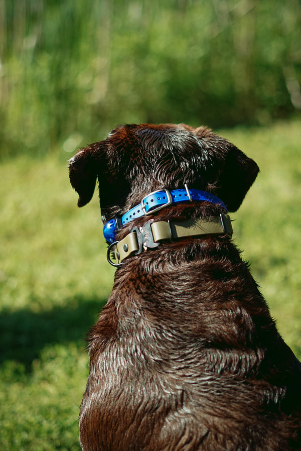 Cobra Adjustable Quick Release BioThane® Collar