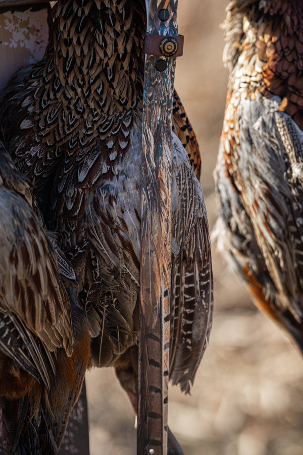 Pheasant Feather BioThane® Collar