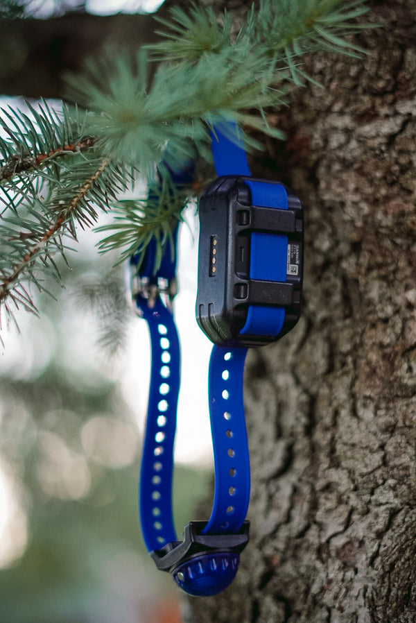 Replacement E Collar BioThane® Strap (The Eagle)