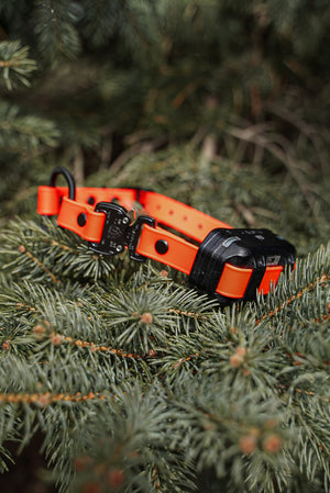 Cobra Buckle Bungee E Collar Strap (Alpha Bungee)