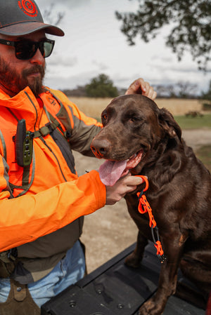 Cobra Buckle Bungee E Collar Strap (Alpha Bungee)