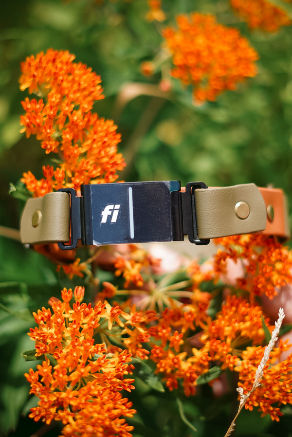 Fi Series 3 Compatible BioThane® Collar