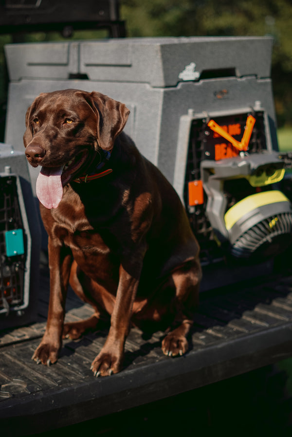 Kennel Fan Holder