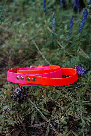 Grab N Go Handle Collar