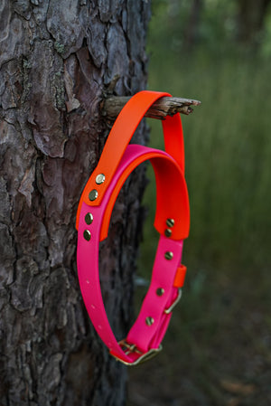 Grab N Go Handle Collar