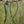 Free Spin Rope Lead