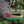 Teal Duck BioThane® Collar