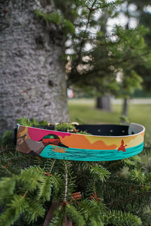 Teal Duck BioThane® Collar