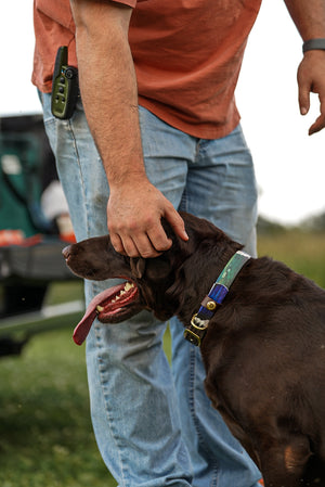 Duck Feather BioThane® Collar