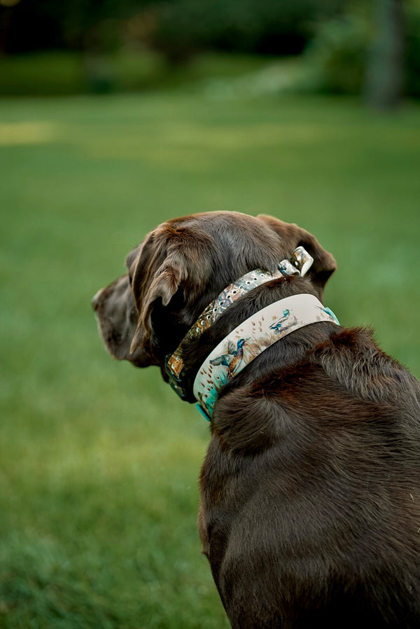 Duck BioThane® Collar