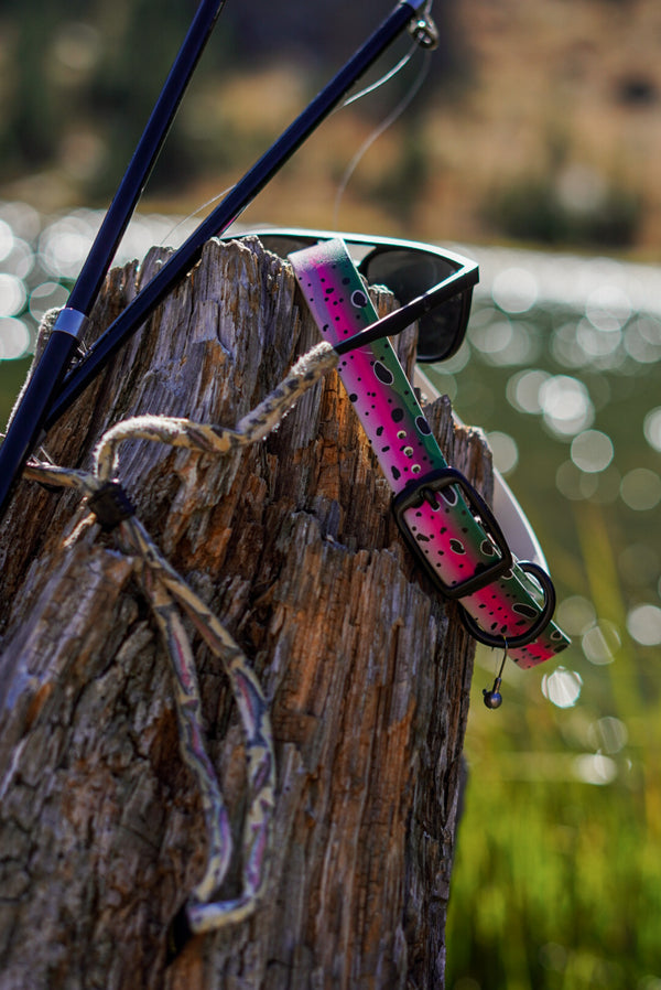 Rainbow Trout BioThane® Collar