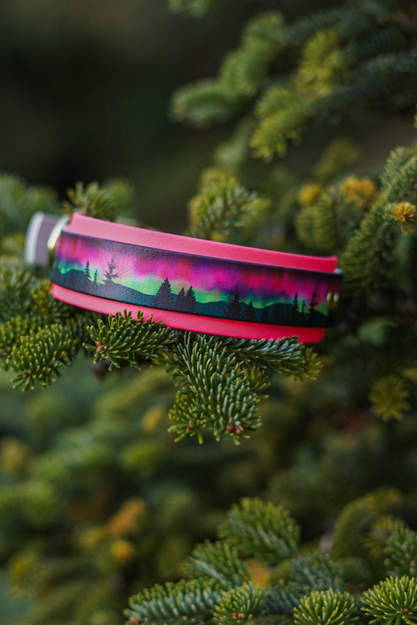 Northern Lights BioThane® Collar (Pink)