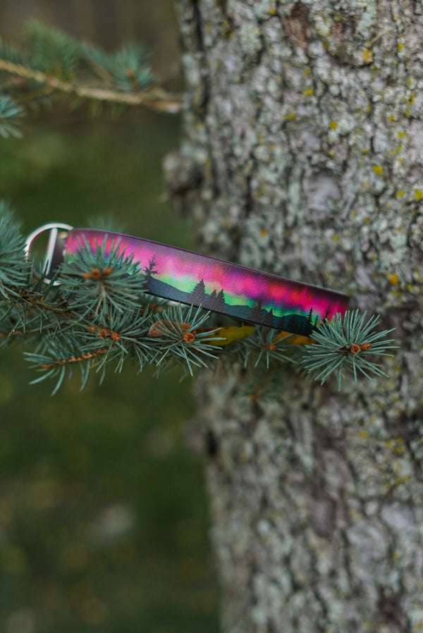 Northern Lights BioThane® Collar (Pink)