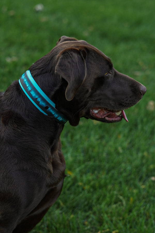 Northern Lights BioThane® Collar (Blue)