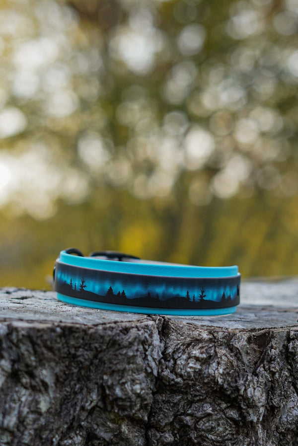 Northern Lights BioThane® Collar (Blue)