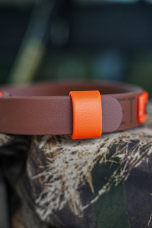 FieldKeeper Loop